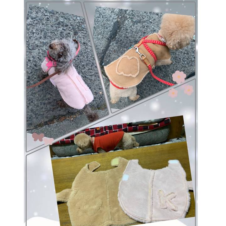 A5406618 33a1 4e04 ac9f 900cd99989ee 1609056754789