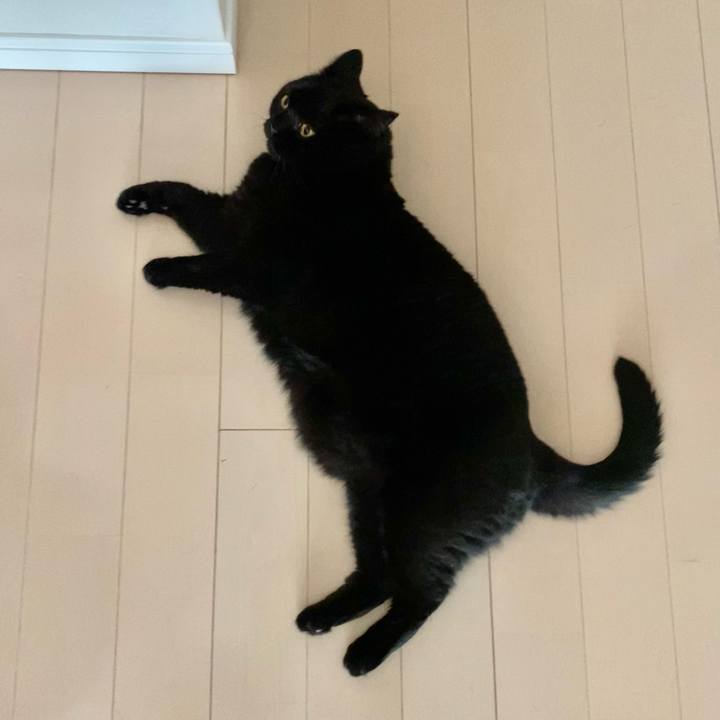 A54076dd f9a7 47dc 8cd5 1e6873dc1731 1693956676014