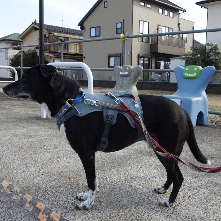 A5408407 9451 4bf6 9f0e 6875b24e2043 1741913866850