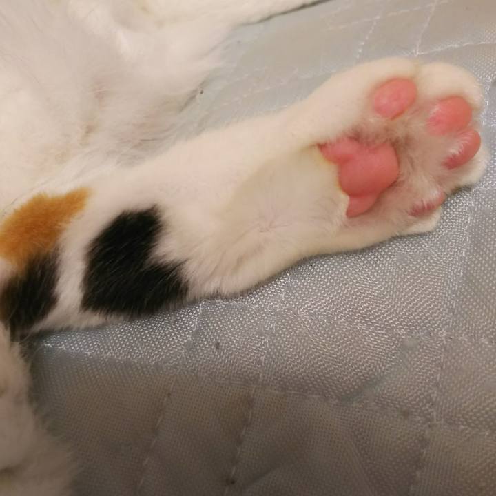 A5408a10 2ee6 435a 9fd5 adc0461155b7 1531406699331