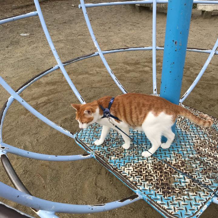 A540a80e 69d5 4061 9fa5 8001a0d6c417 1512705695671