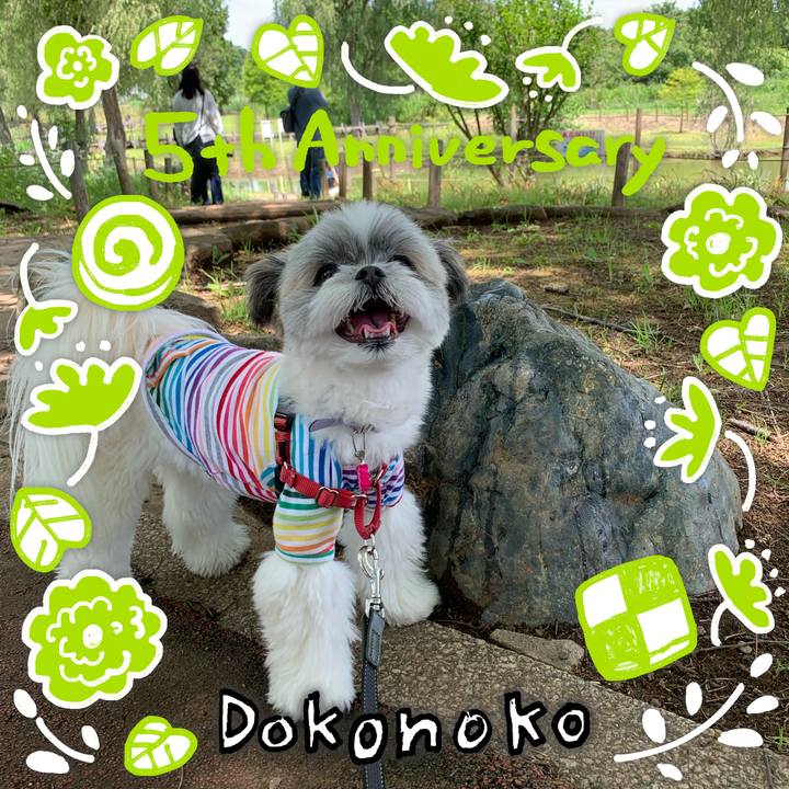 A540b132 d455 44b0 bdee fc6c7bb9f721 1622877058004