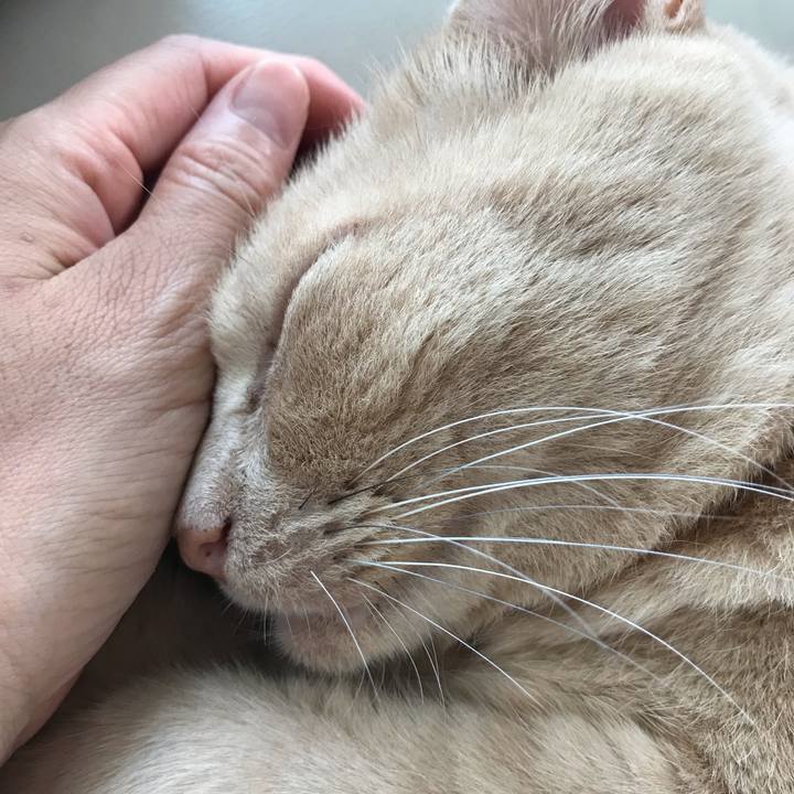 A540de7d c530 4fc0 8887 3ab10482fa09 1566099575787