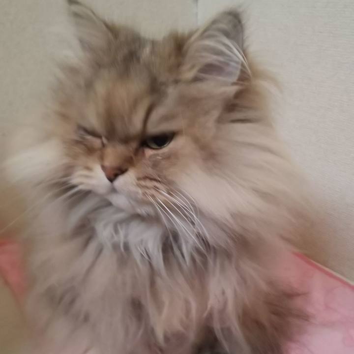 A5410d12 8ce8 431e b97f e548c6b96710 1608601084916