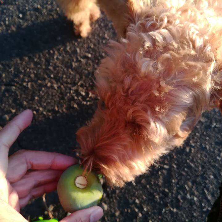 A541674c 2f39 42f1 8669 8bea1243019a 1568326319860