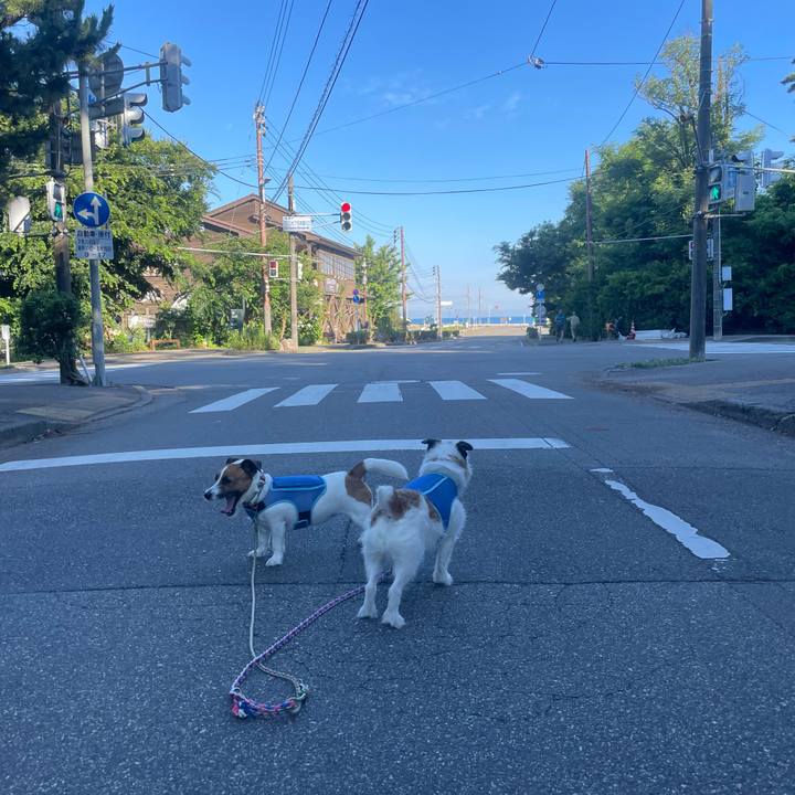 A541fb3a e632 47b0 a42a ff014a94d50a 1753310996643