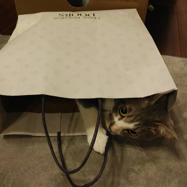 A541fdb3 b4d5 46ad b60d 9f7747ec79e6 1592750695191