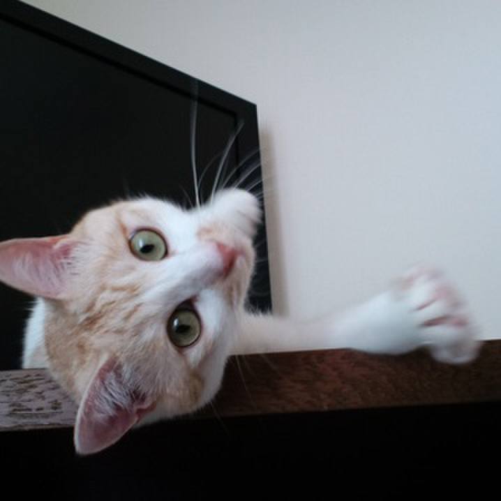 A54257a4 ae95 4346 a84d 4edc358b2278 1558799889234