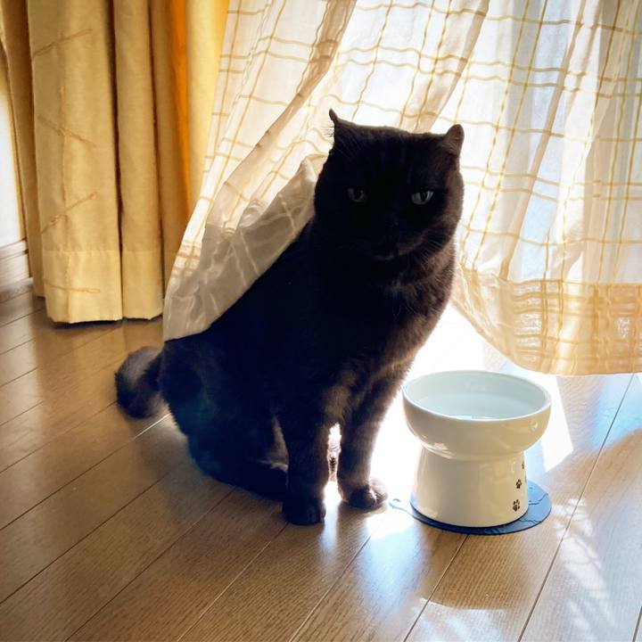 A5425a48 9ebc 435a bb42 e5ec28d6bf94 1634524477838