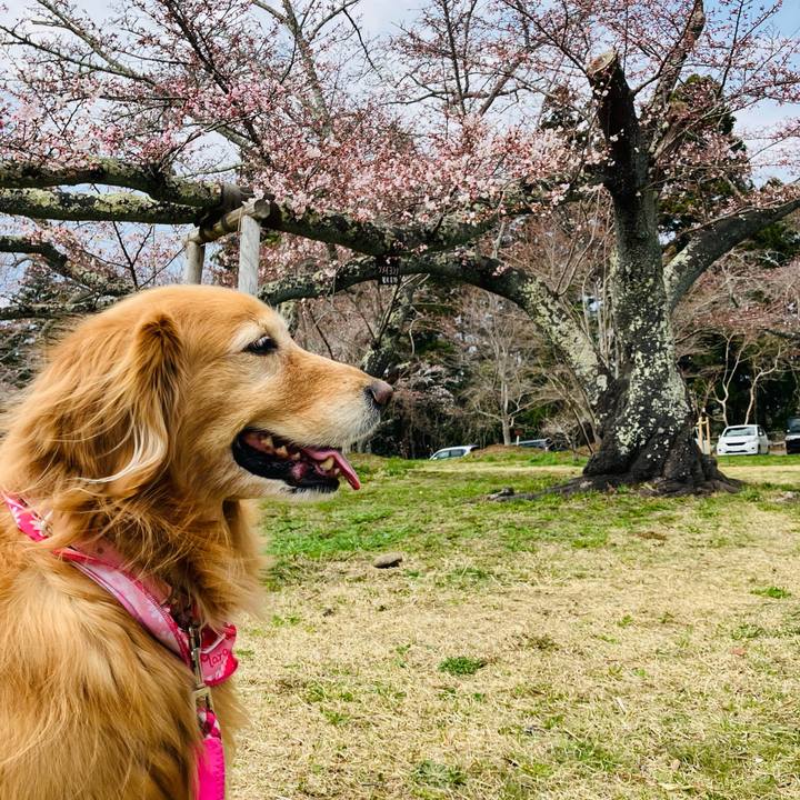 A5426549 7c1f 4c0e b5af dabd1cd78ede 1744130660816