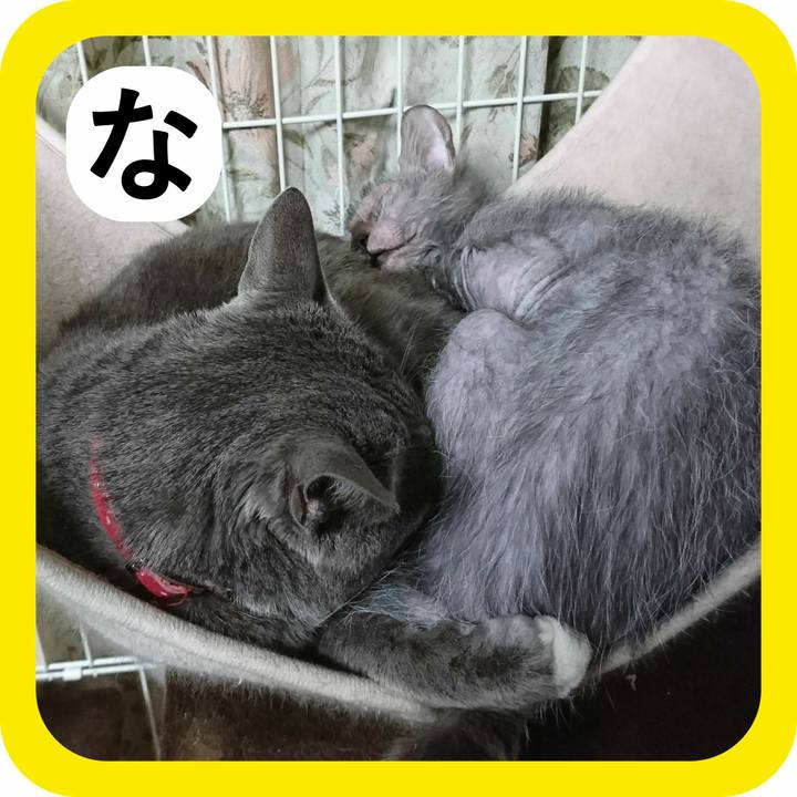 A5426e3c fdfa 4656 9c0c d498bbf5868e 1514807715663