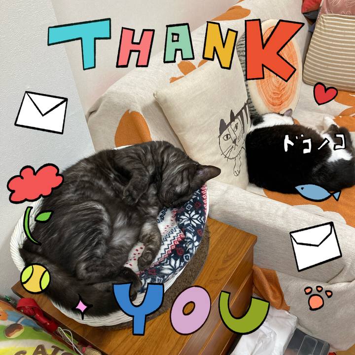 A542900e 5b39 46eb abcf bd30f980fffe 1715483662546