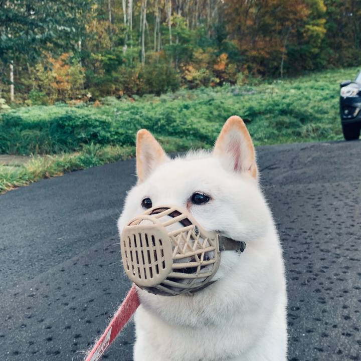 A542e660 d217 497e aab7 bf96a6c842c9 1603234371049