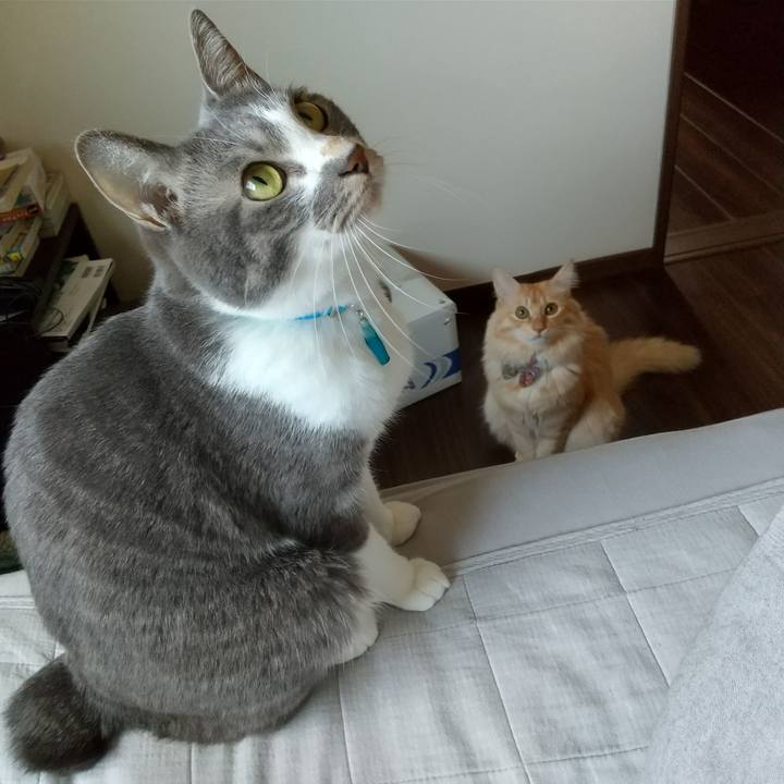 A542e714 cbf2 4f20 8d23 8ddf3e7c132c 1636254951423