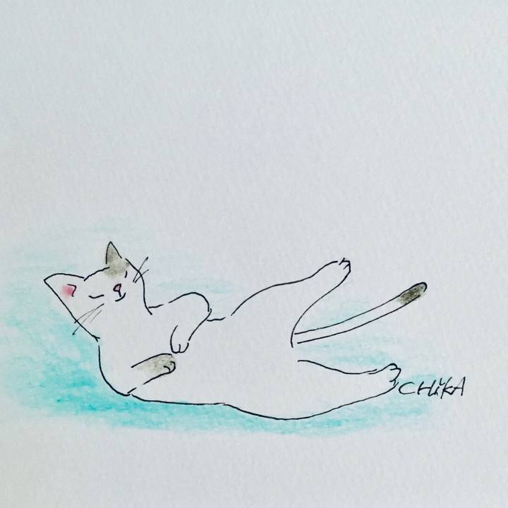 A542f8d2 1ff5 49e3 a757 7e8201dcf206 1568023224212