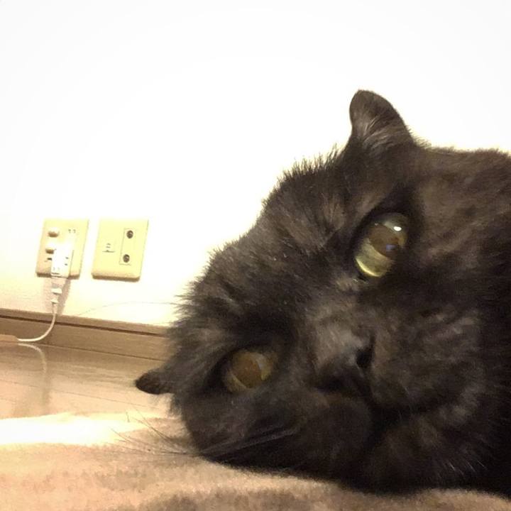 A5430598 c9c6 430e acde b1d5daff4ed6 1584800533486