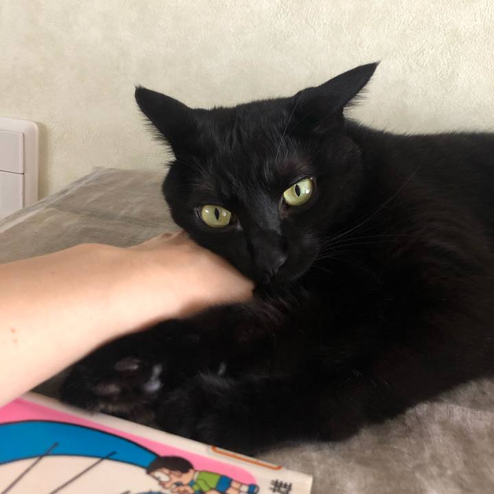 A5433652 eede 4ab7 b6e4 845a1a5255e8 1564891560231