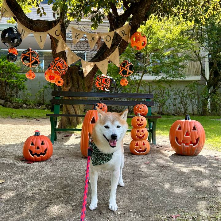 A5433f70 bbbe 411c a6f4 2702f5fc9acf 1730334322564