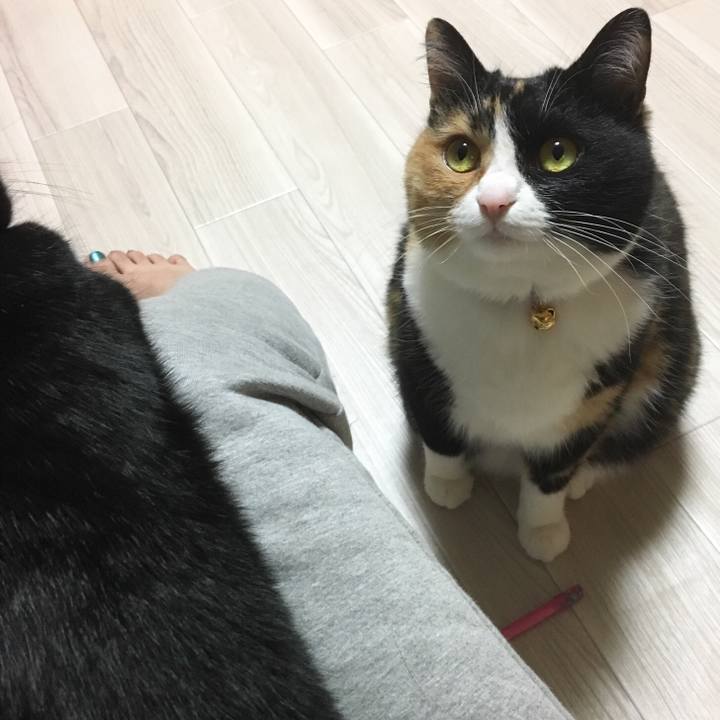 A54374da a7fd 4d2b 8e74 5afa821fdb6c 1516886234226