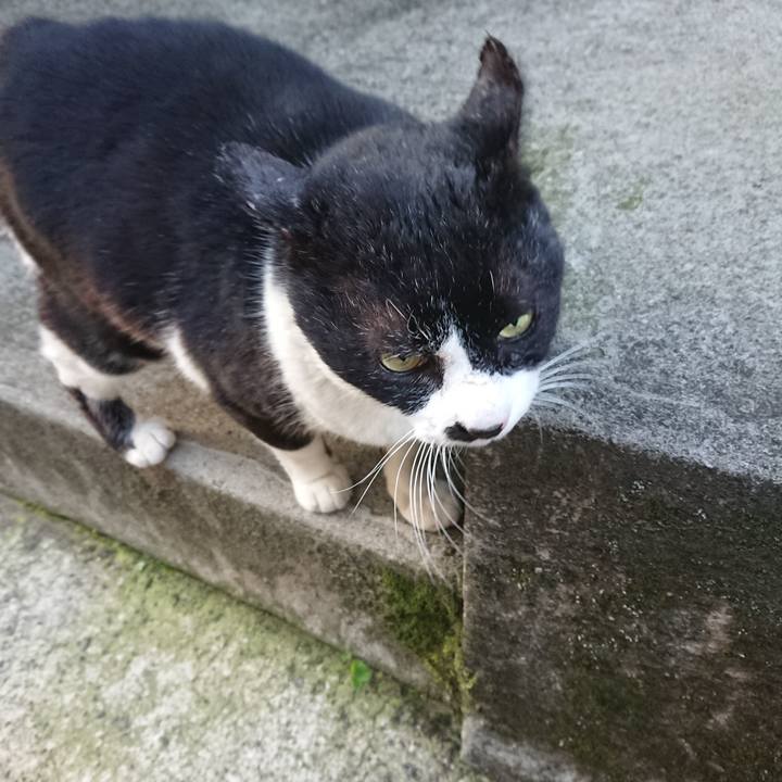 A54382ef 1dcb 4a42 a723 71daa75f51fb 1584573401856