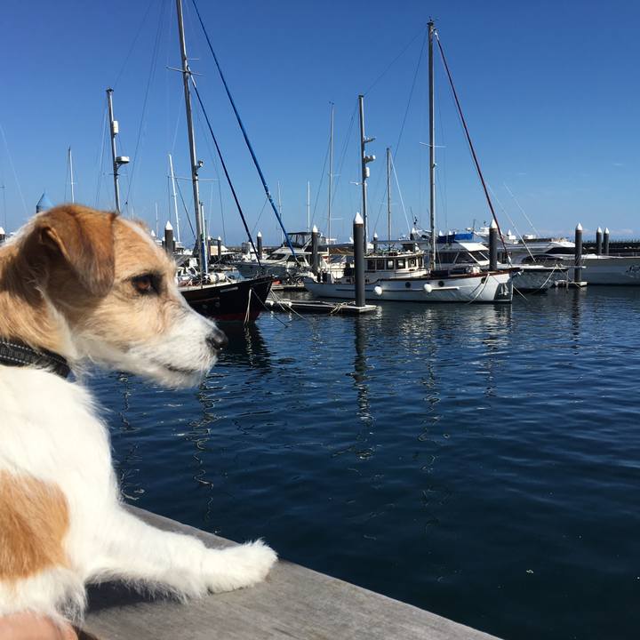 A5441fc1 207b 4d82 8665 3c12fe817d04 1572438262473