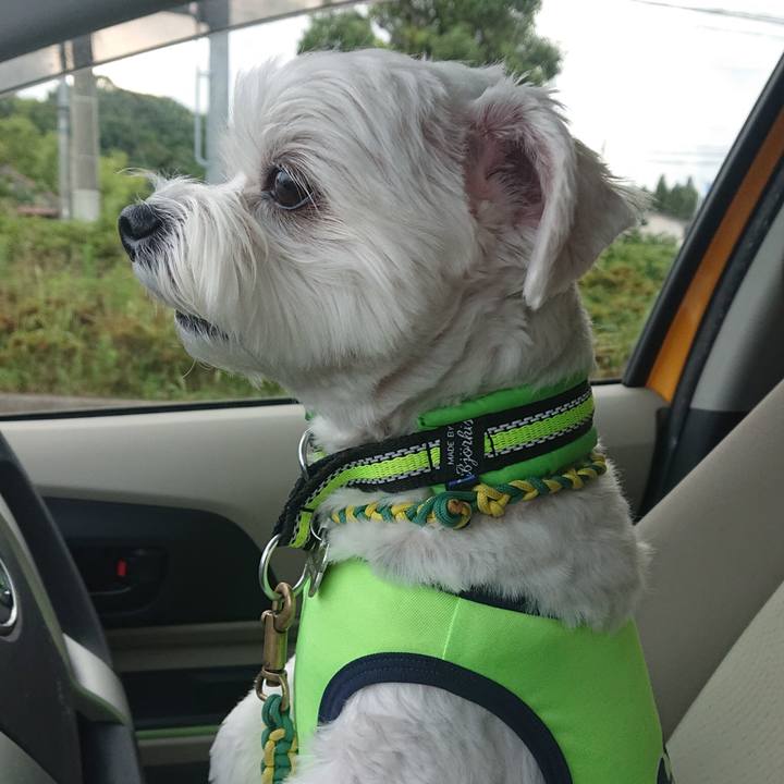 A544604f a454 4c92 a728 5e2c6ea5defc 1592726817262