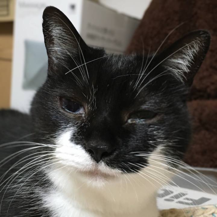 A54492a1 f9d6 4f37 aca5 a03840c0c9a4 1589623544728