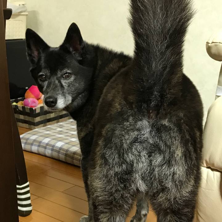 A5451807 41bb 4575 874d 6ddf6af05168 1507900070499