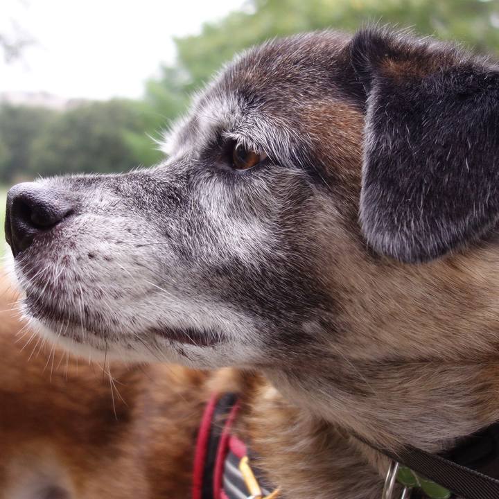 A54527cc ed0d 42d3 b545 7b3a052c9b87 1537407578176