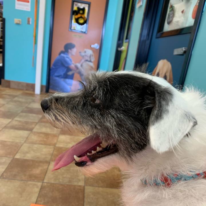 A545317e 575f 4e7a 9e1b 00ac9f3b7e8f 1602712655767