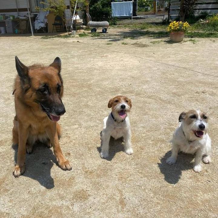 A5453ef2 57d8 4d56 98d8 6ff09f1a72ea 1652967957034