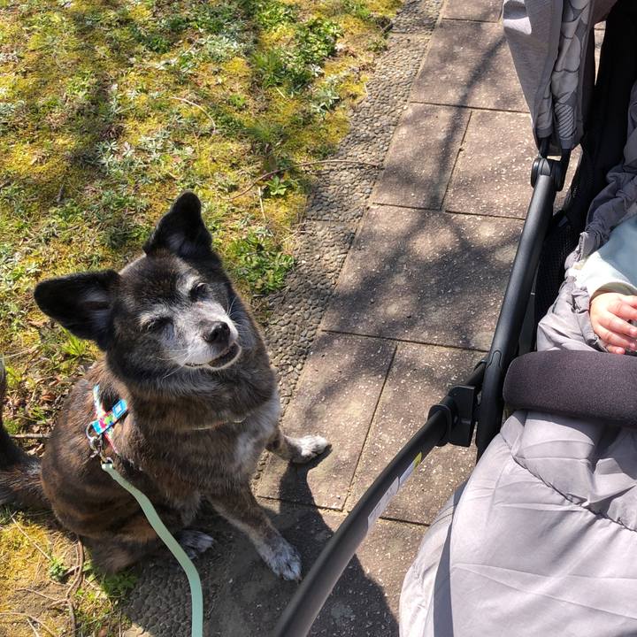 A54544ff f8e9 4c89 8638 842aa021f293 1712221874039