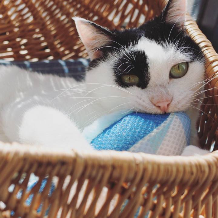 A54593e3 4568 45c4 8c9c ceb3bc7447e0 1577581176474