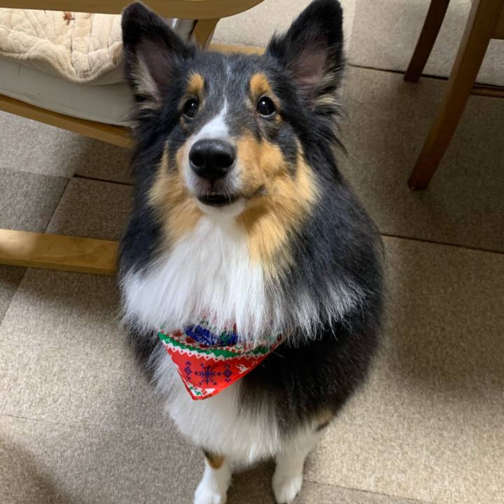 A545ba70 7c0d 4d3e bc47 061f8aeec753 1607983499440