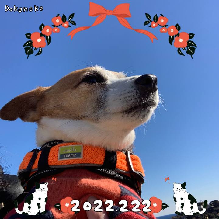 A545e2ca a91a 46e8 8053 f22872916676 1645499736602