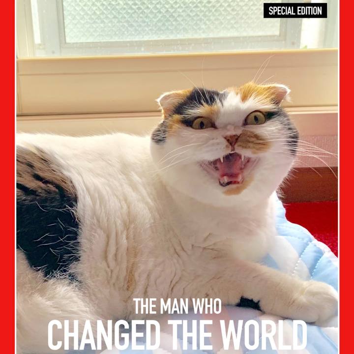 A546339f 554d 4c10 a63e 5573a9908faf 1563830873744