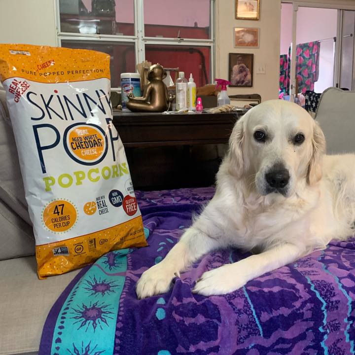 A5463735 99fc 4e44 8209 3a6edf4c2b23 1561018499768