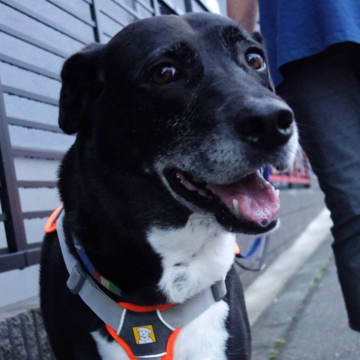 A5464e61 8845 4f60 9d1b 2c563c69ace4 1718967742029