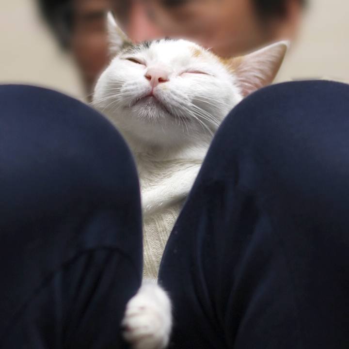 A54650f2 6e54 4e2e 9840 17ae97e8ed51 1561505814391