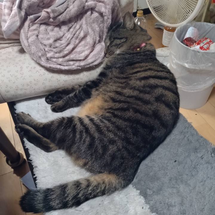 A546998f eb70 4d5b be3f d60ac873270f 1669509317681