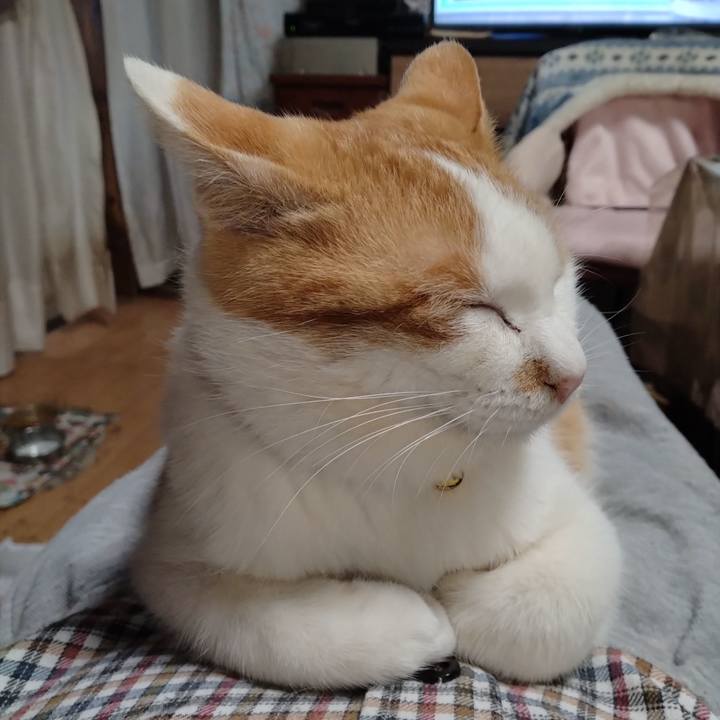 A546a767 b541 4374 baa5 51ba8ef8ee37 1746964855595