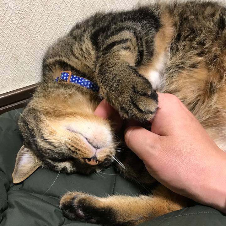 A546aa08 0602 47af a25b 2df9edd253ca 1639230660472