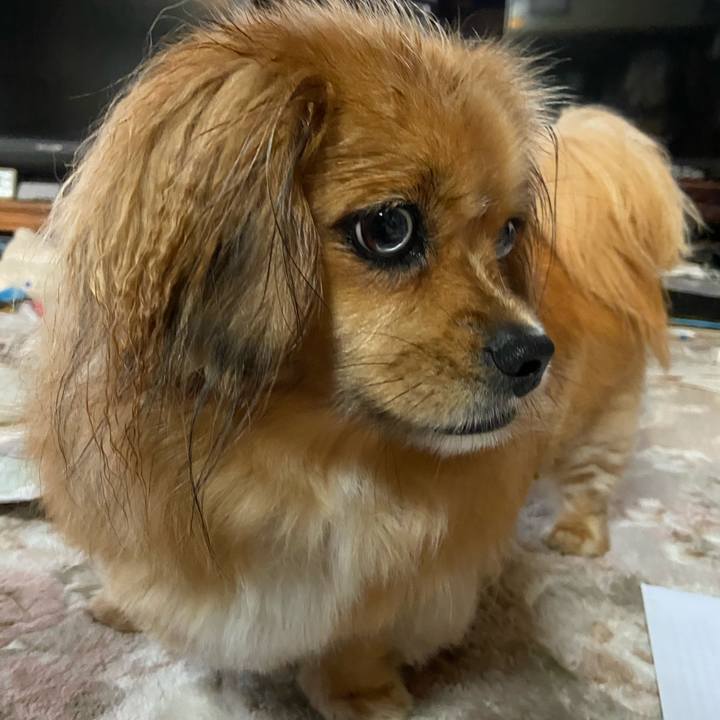 A546df3f 6b9b 4af2 bbe9 d83b48c642bf 1592517500956