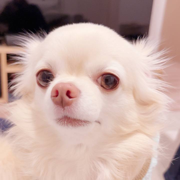 A546ed3e 0bef 48c9 aae1 c257ee516ef1 1732537715017