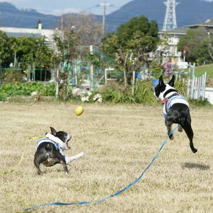 A546f44c 3dae 49a8 8e73 dabde8cc1fdc 1575179336812