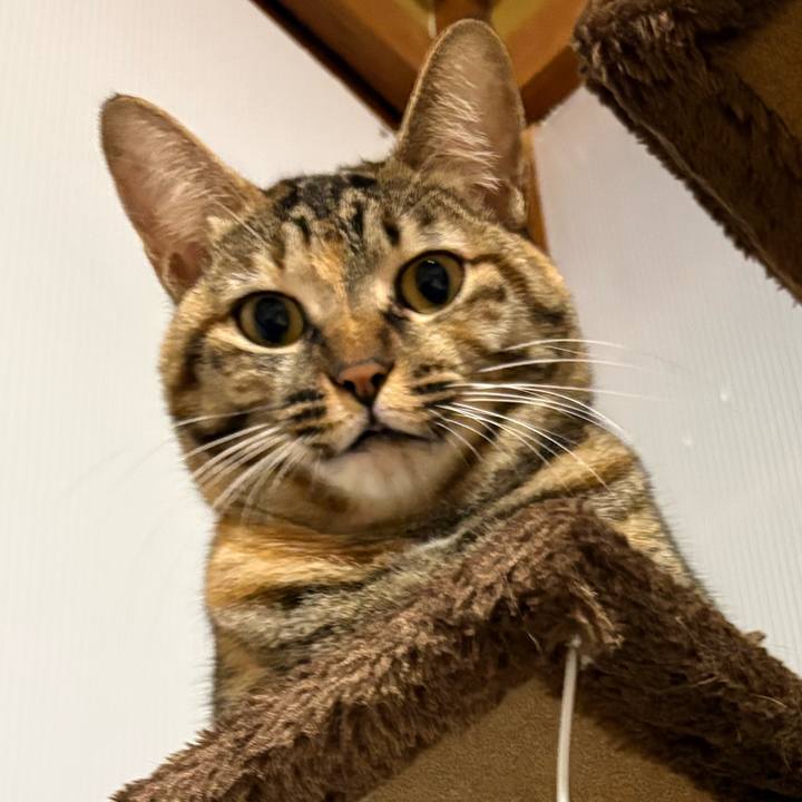 A5470751 5283 431c b652 045794a31d67 1762379361948