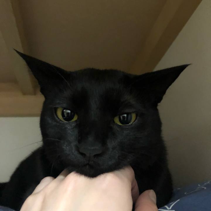 A54709e3 6d32 49b0 b49c 429bfc34dc09 1547852346536