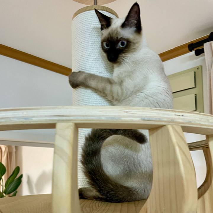 A547104a ded0 4aa7 935c f83231c08038 1700942834704