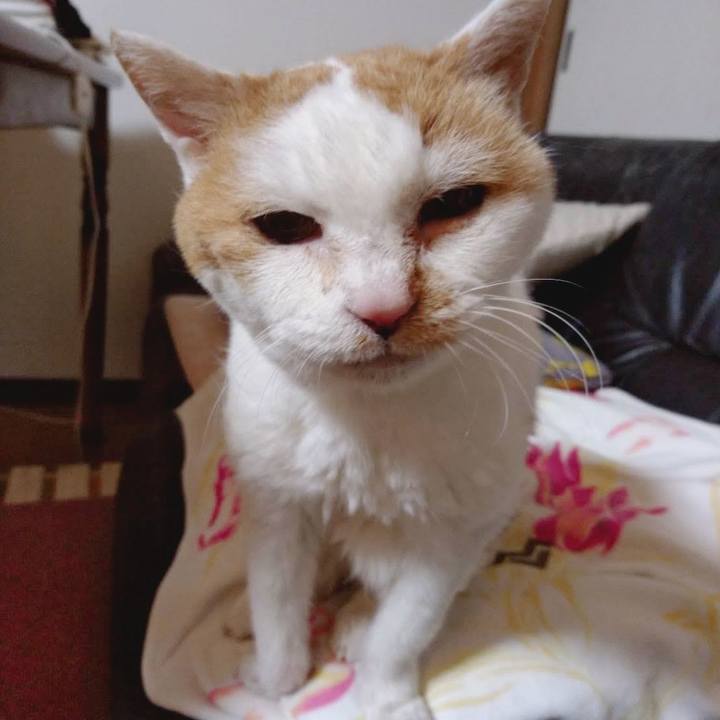 A547106a fd06 43c3 81d7 c51a9f04e3d7 1686983680261