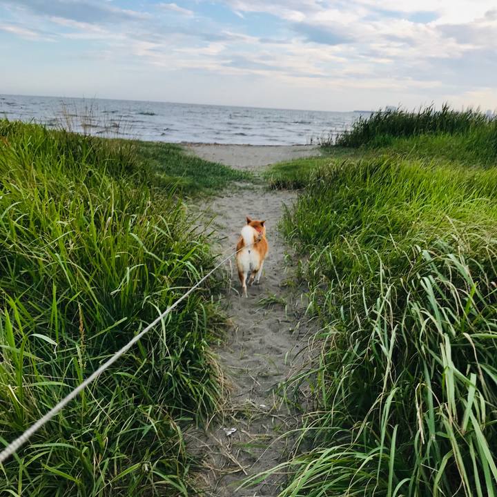 A5471a0d 5fca 4bcb b18c cc14e7778ba6 1567341455825